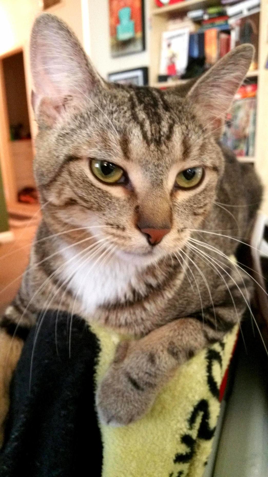 My Best Buddy Babou.