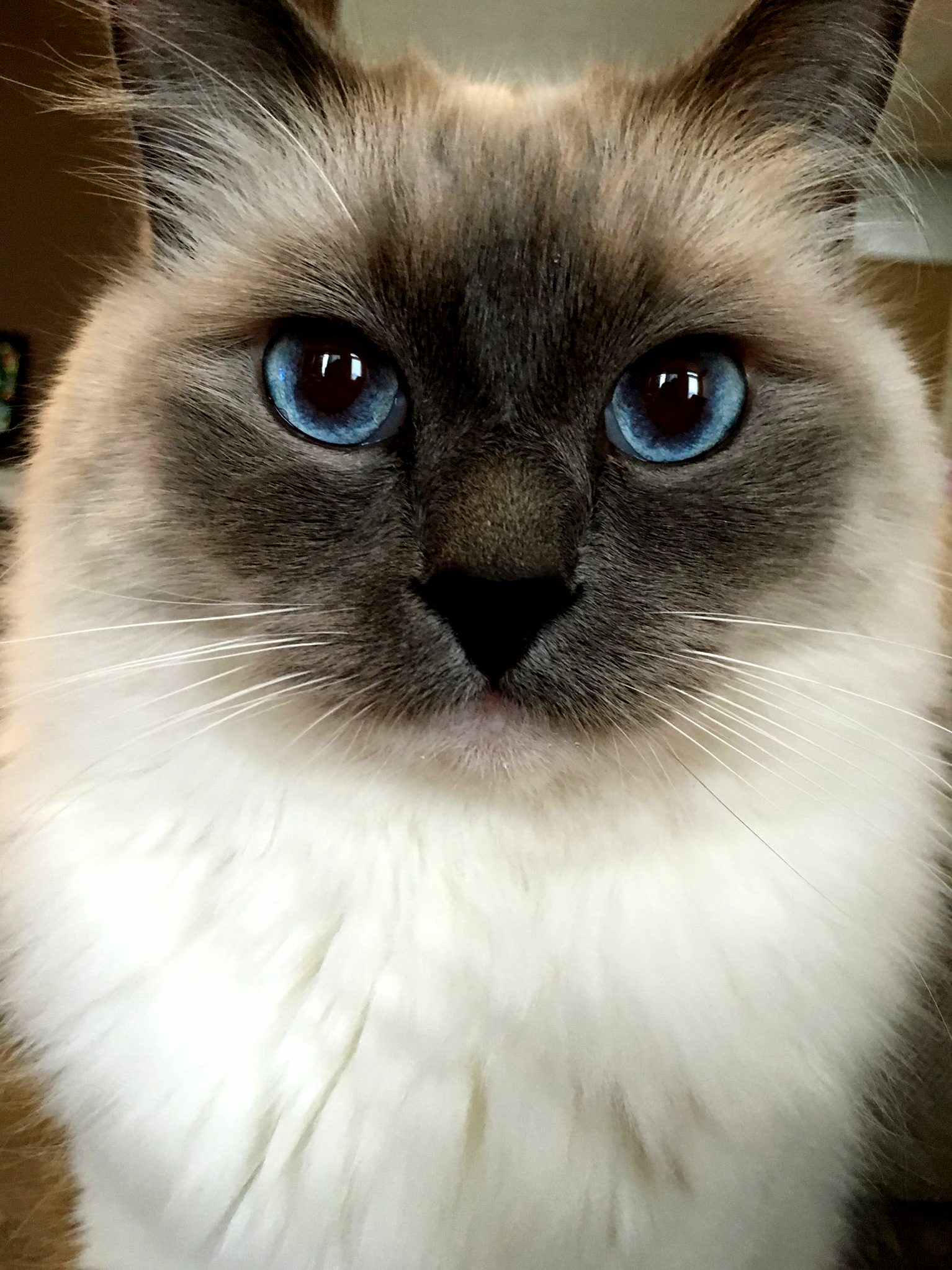 My Yoshi Showing Off His Pretty Blue Eyes