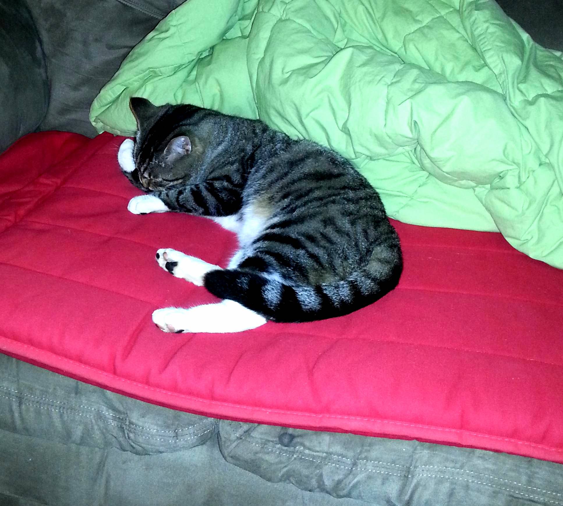 Named Him Mouse.