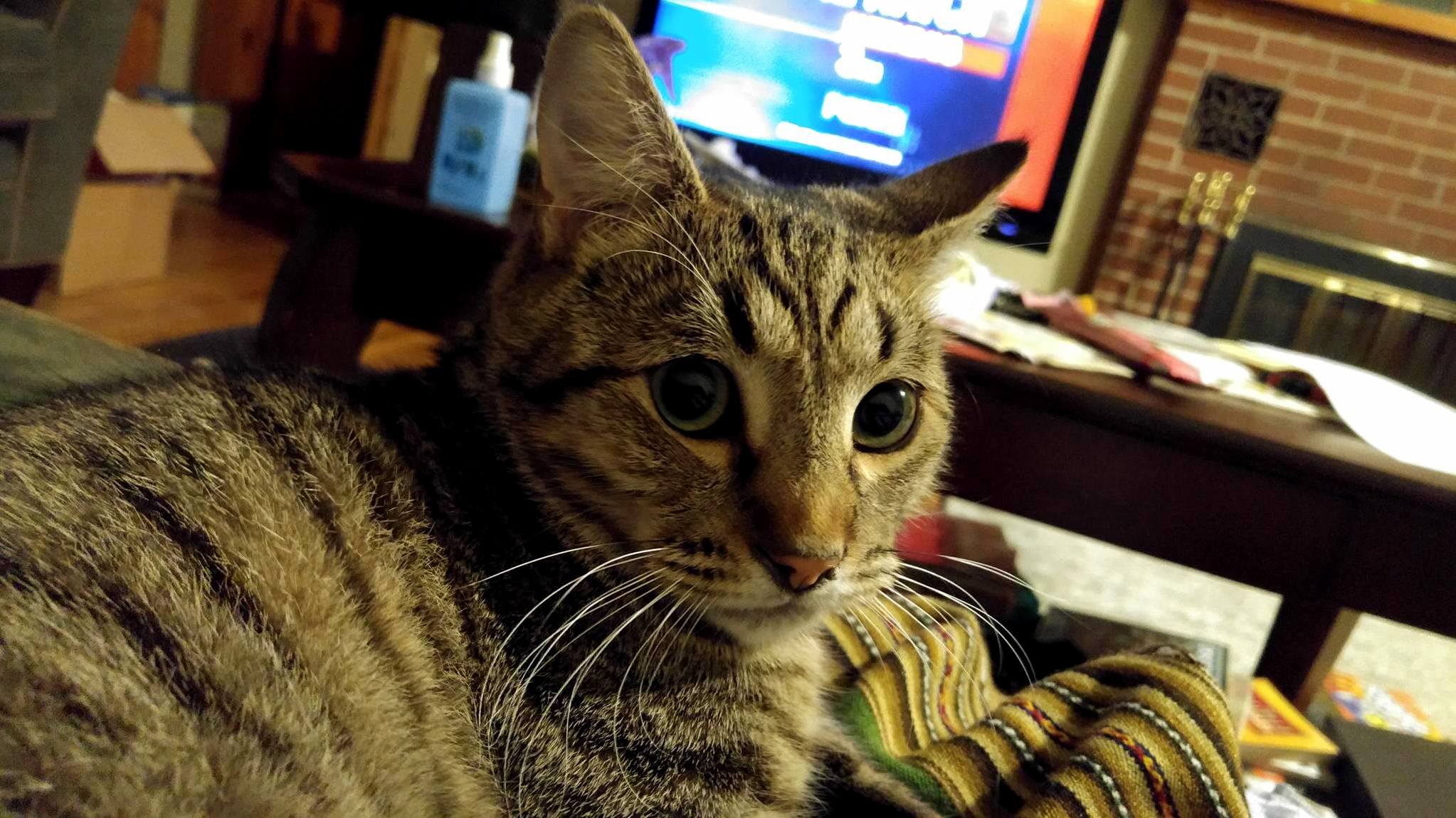 Oh Hi There