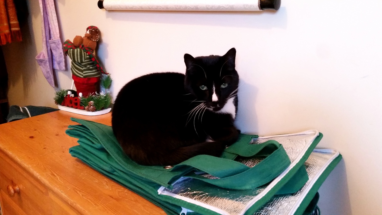 Reusable Shopping Bags the Most Comfortable Bed in the World.