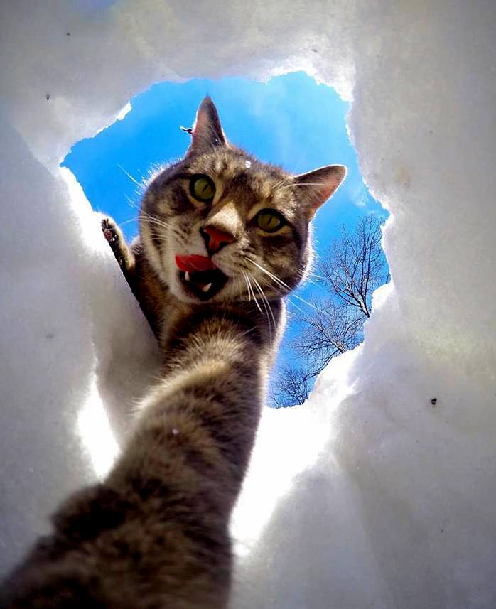 Selfie of the Day.