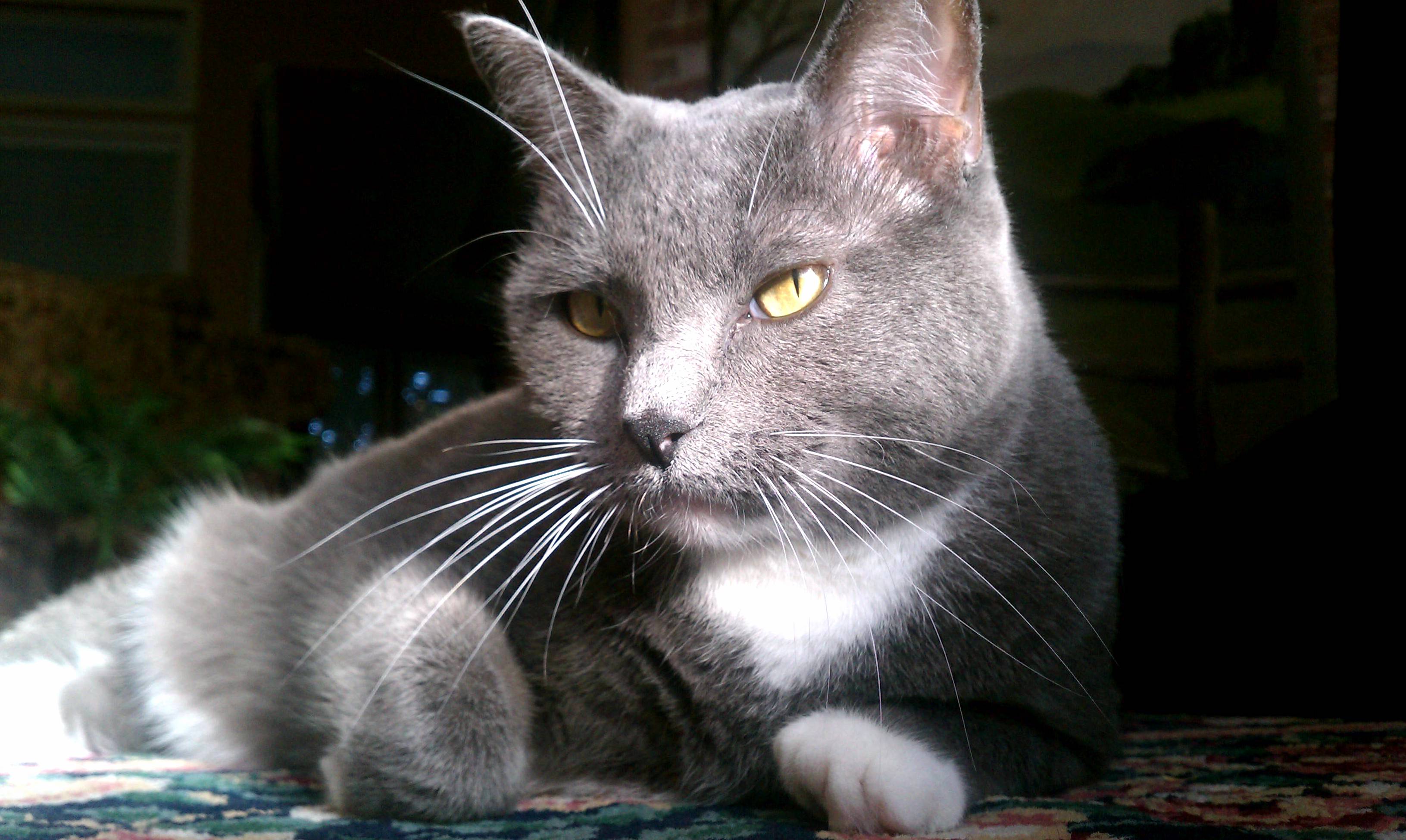 She Knows Shes Pretty