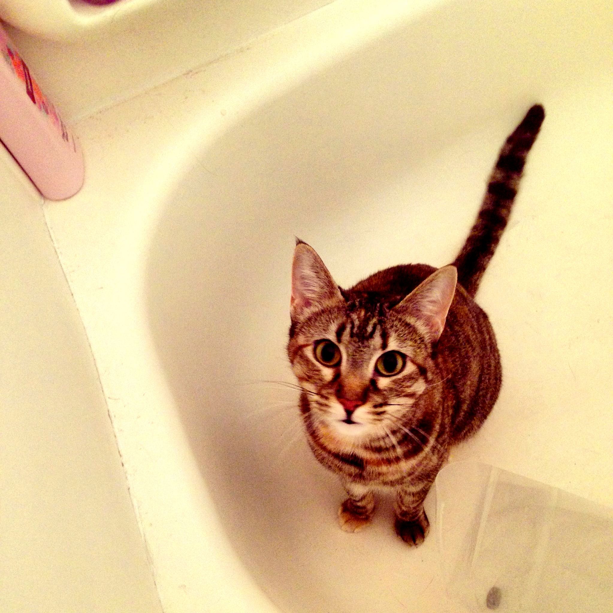 She Loves Playing in the Tub.