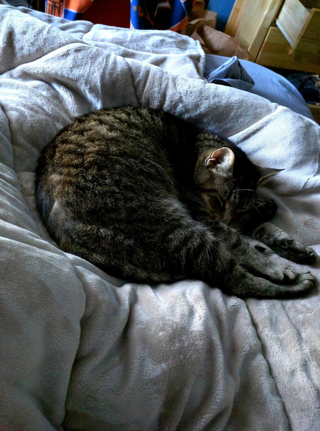 Shes Clearly Not Comfortable at All.