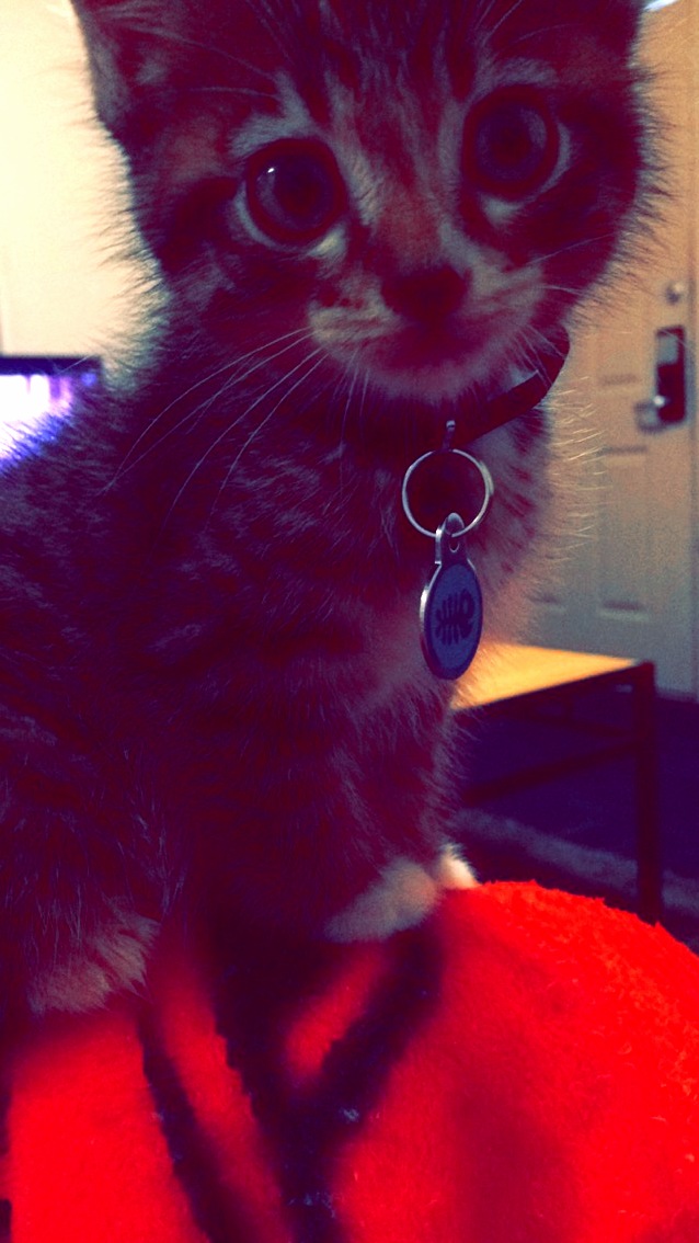 Sir Griswold Glover.