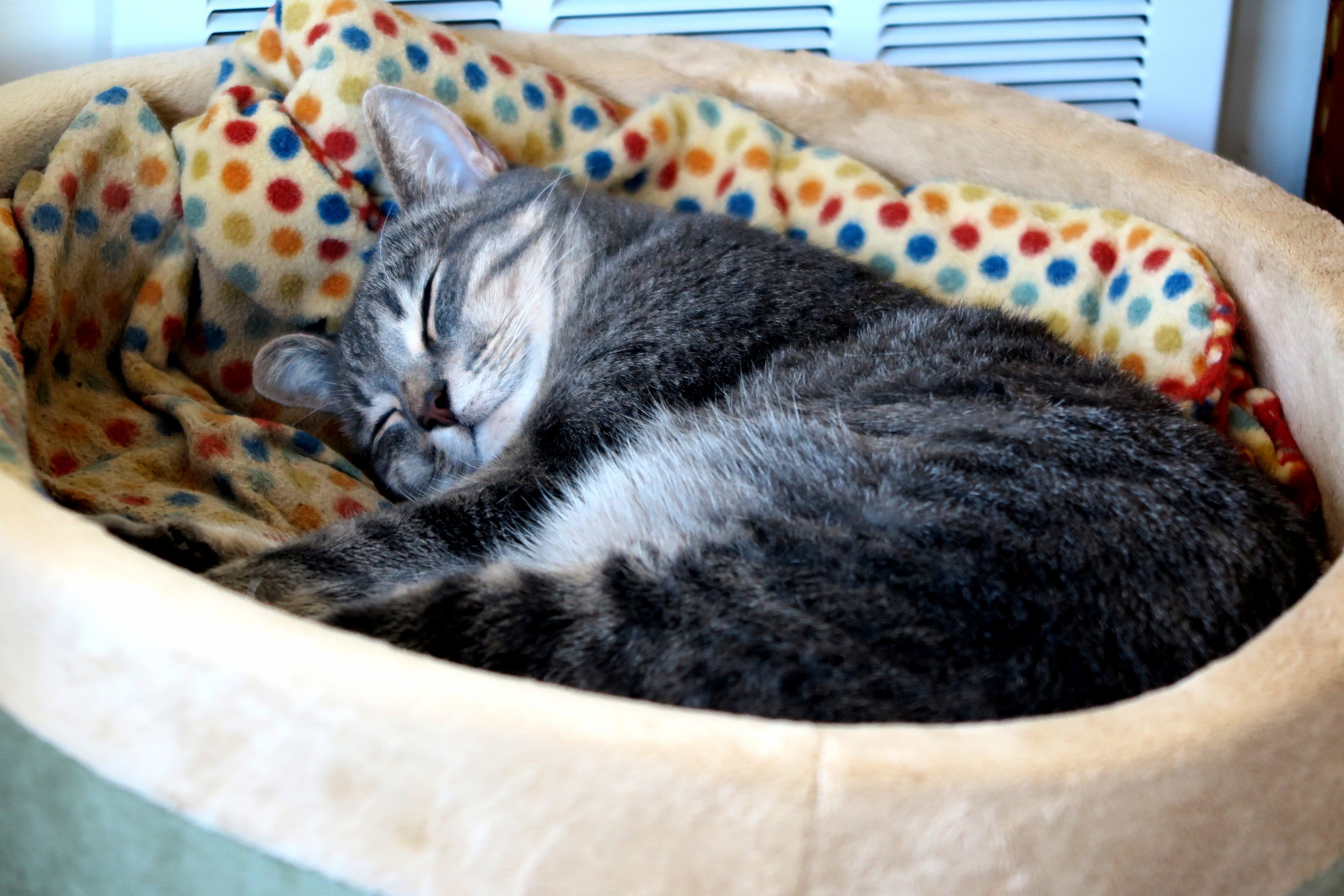 Smiling in Her Sleep