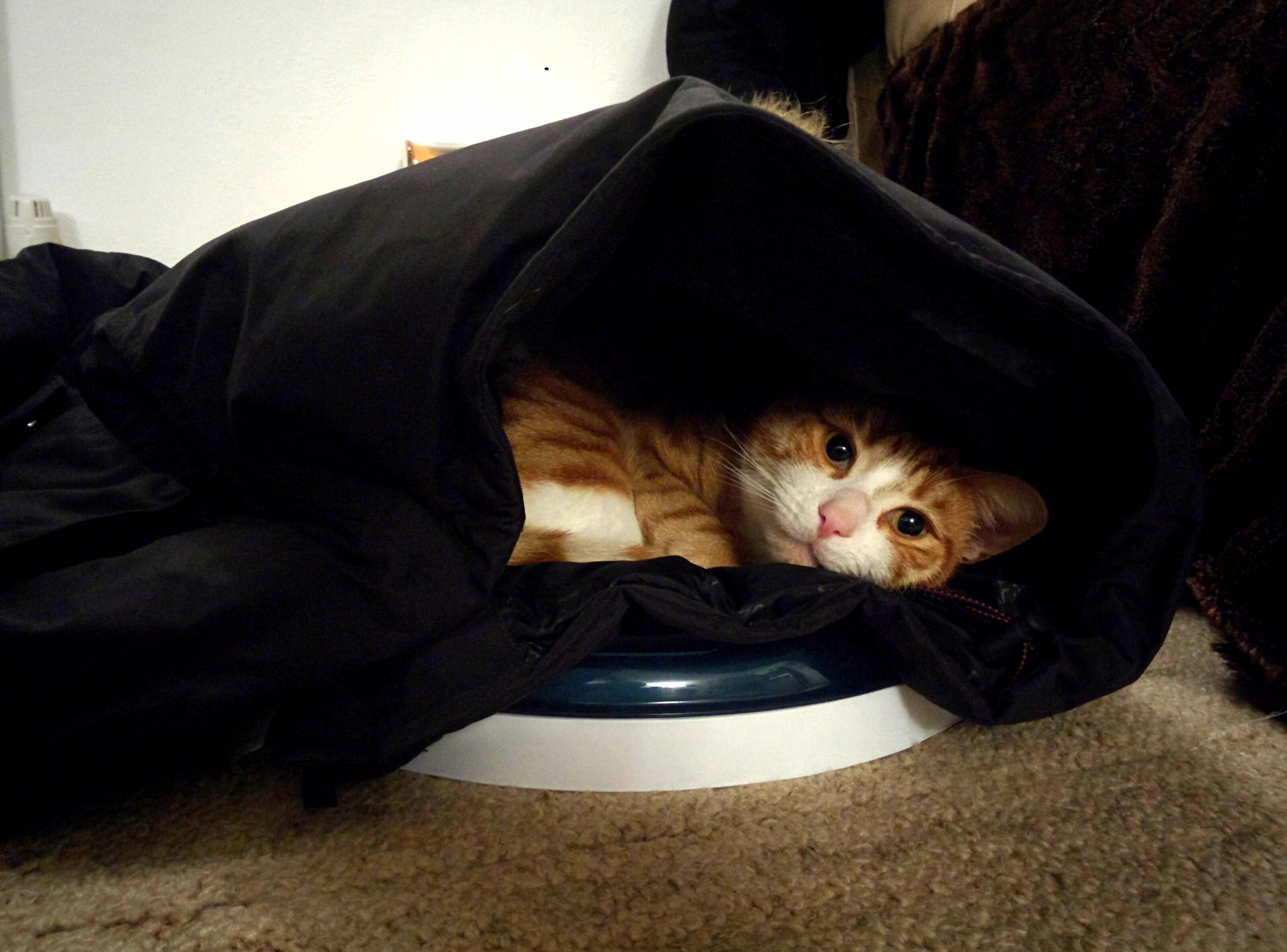 So I Bought a New Coat Today...