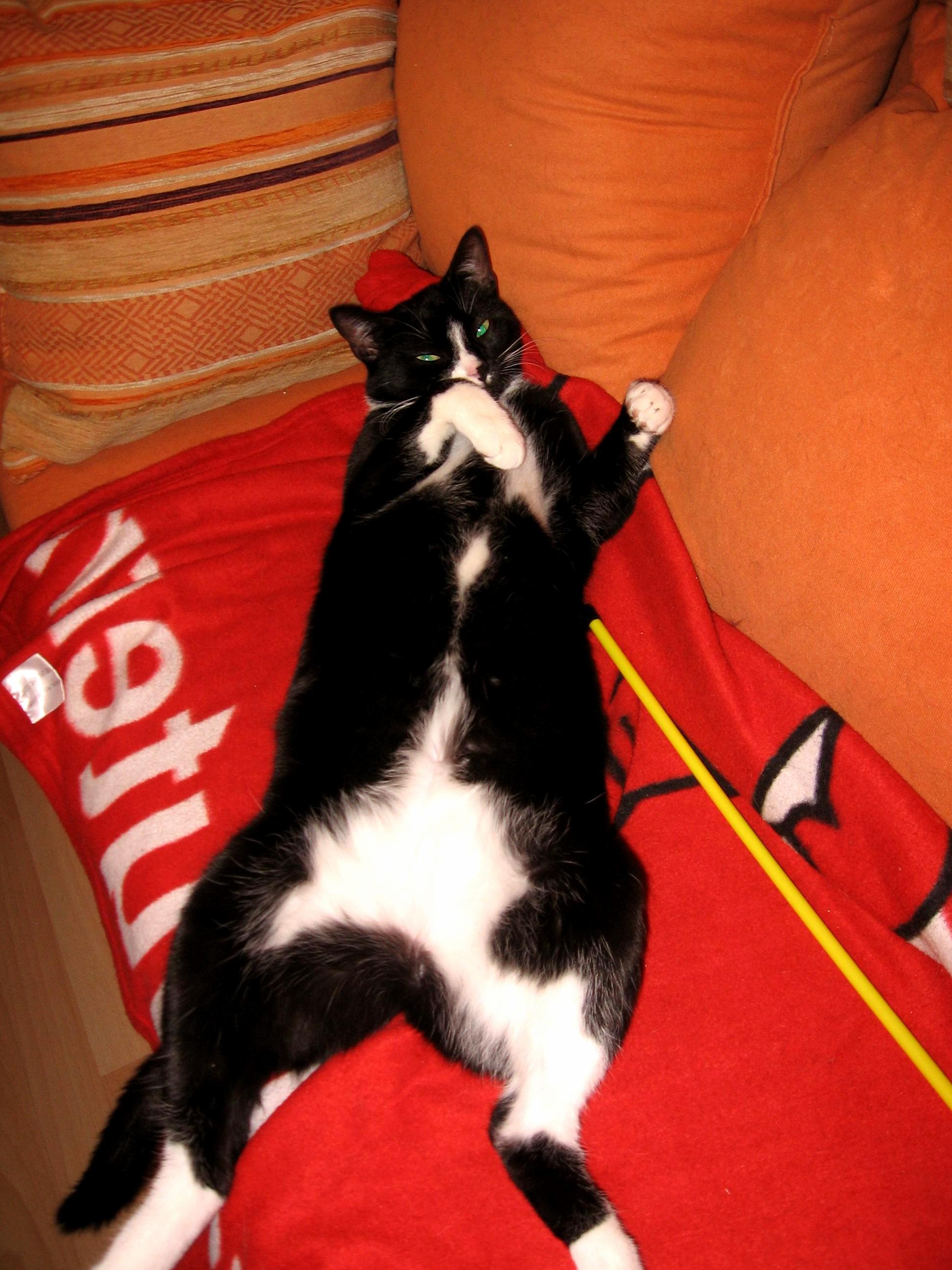 Sometimes Shes Really Not Ladylike
