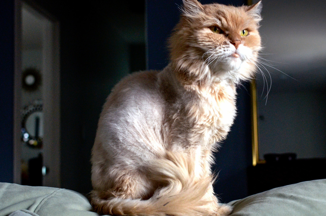 Staring Out the Window the Morning Routine