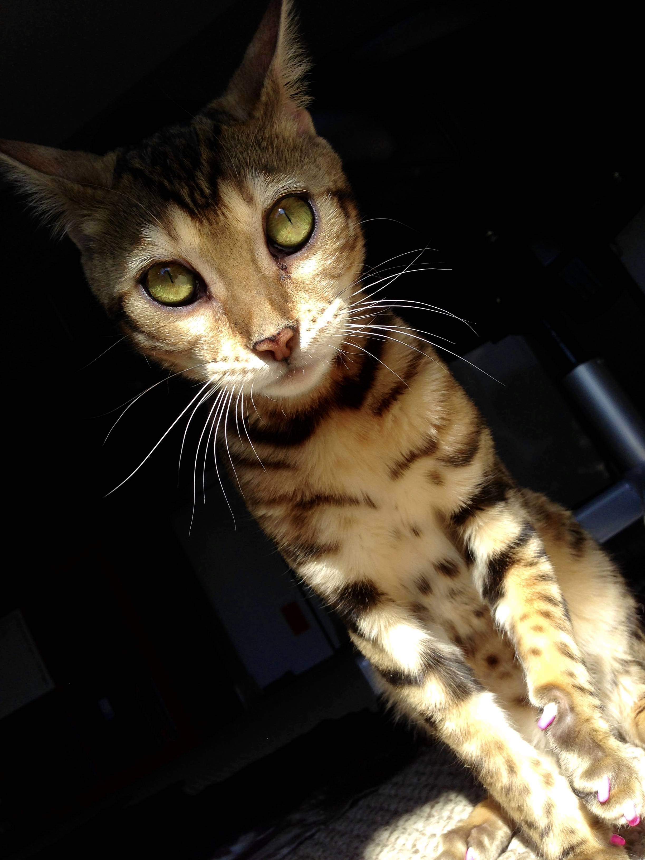 The Morning Light Made Her Look Interesting Today