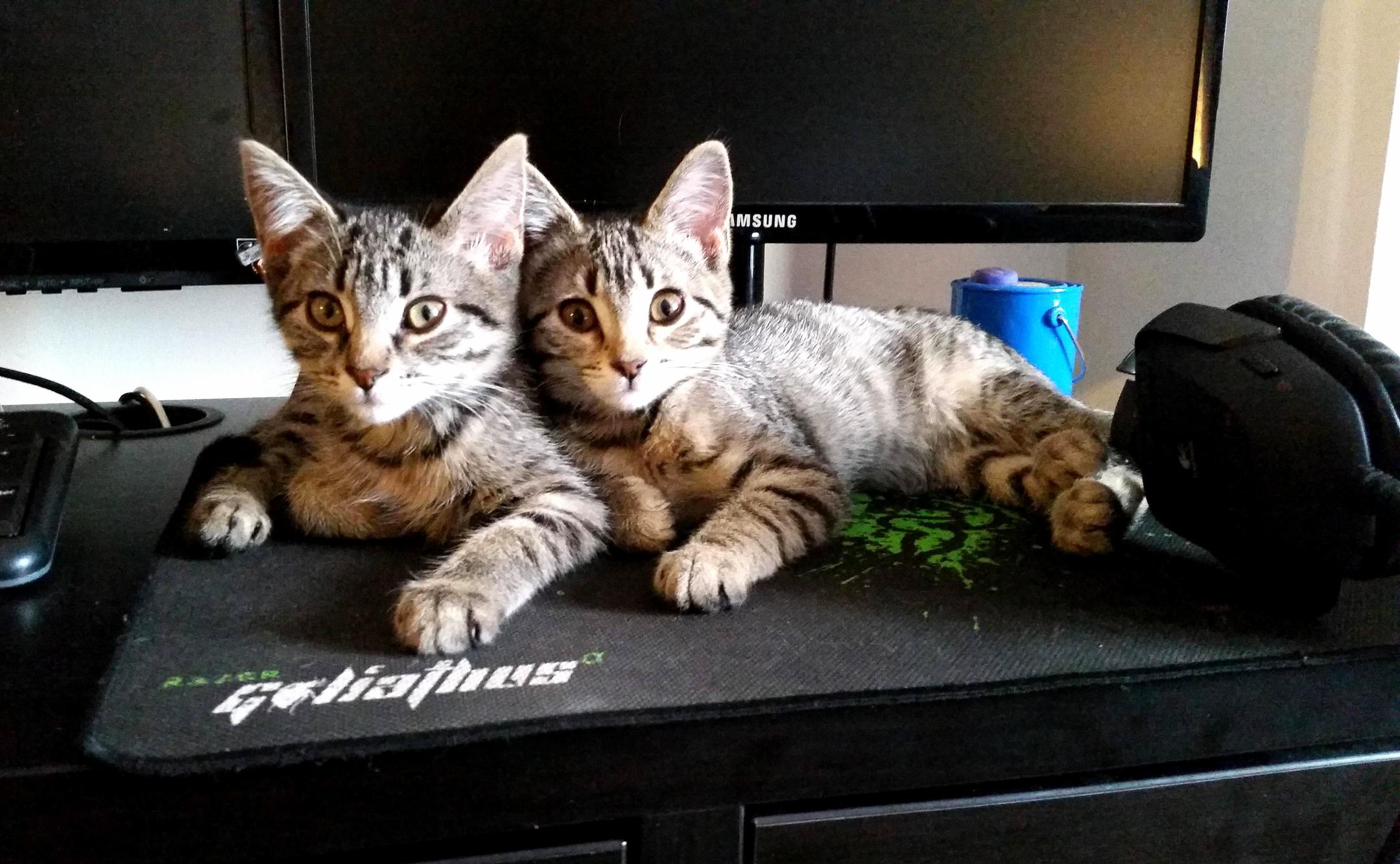 They Make Browsing Difficult