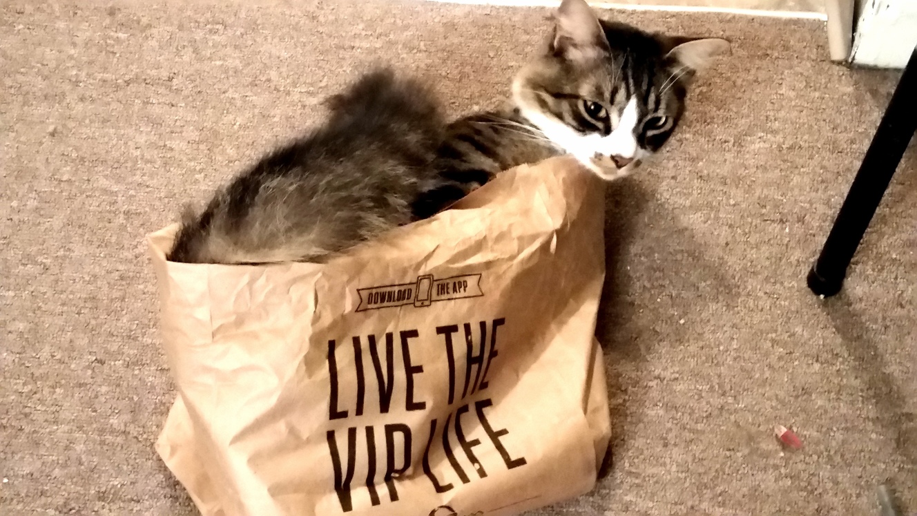 This Isnt What I Ordered