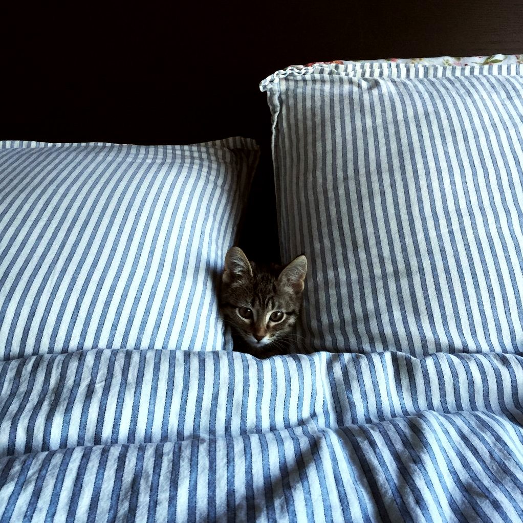 Time to Sleep Mom and Dad