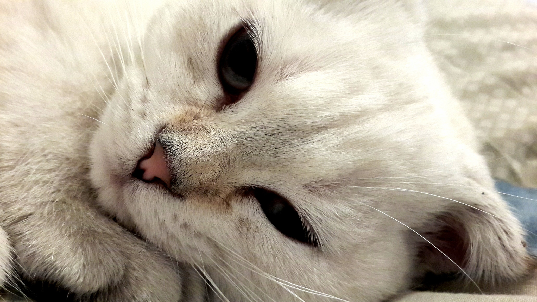 Up for a Snuggle