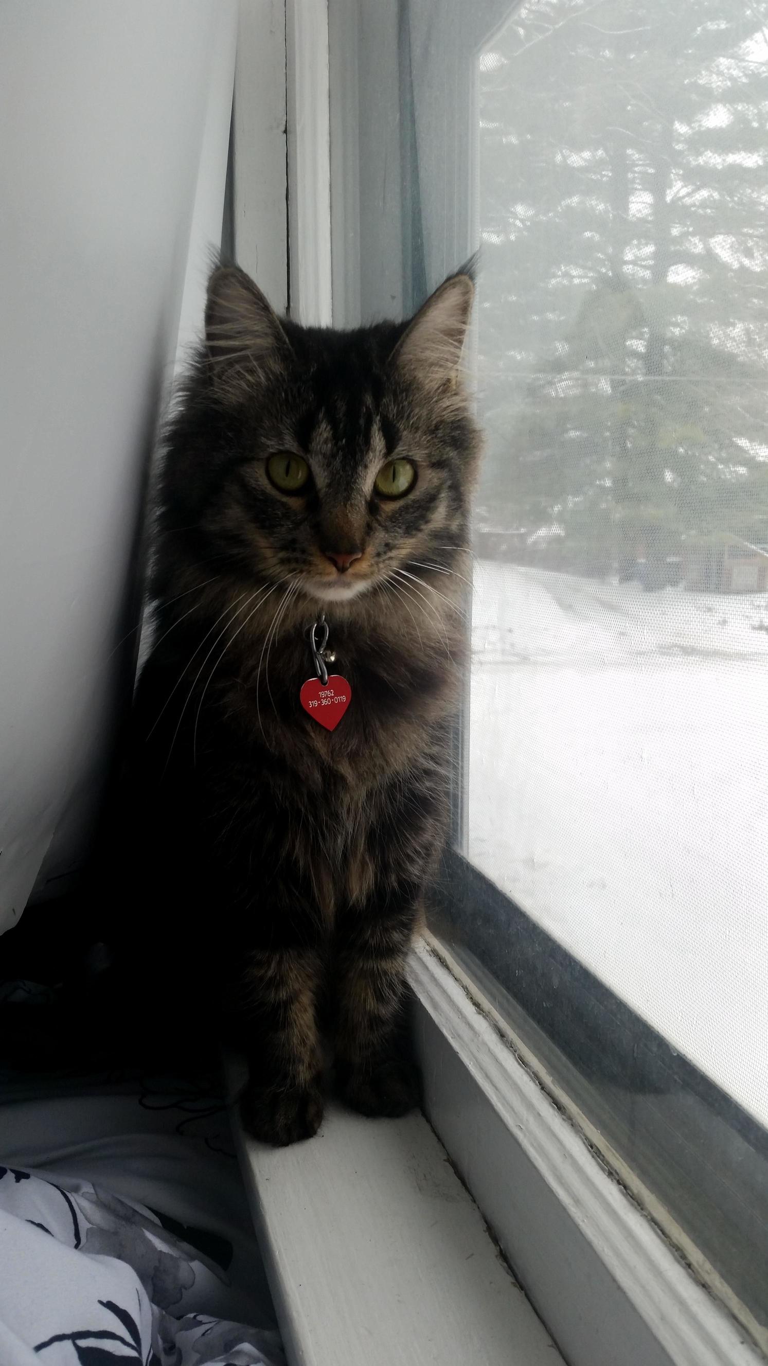 Yes Human Im Beautiful and Will Pose for You.
