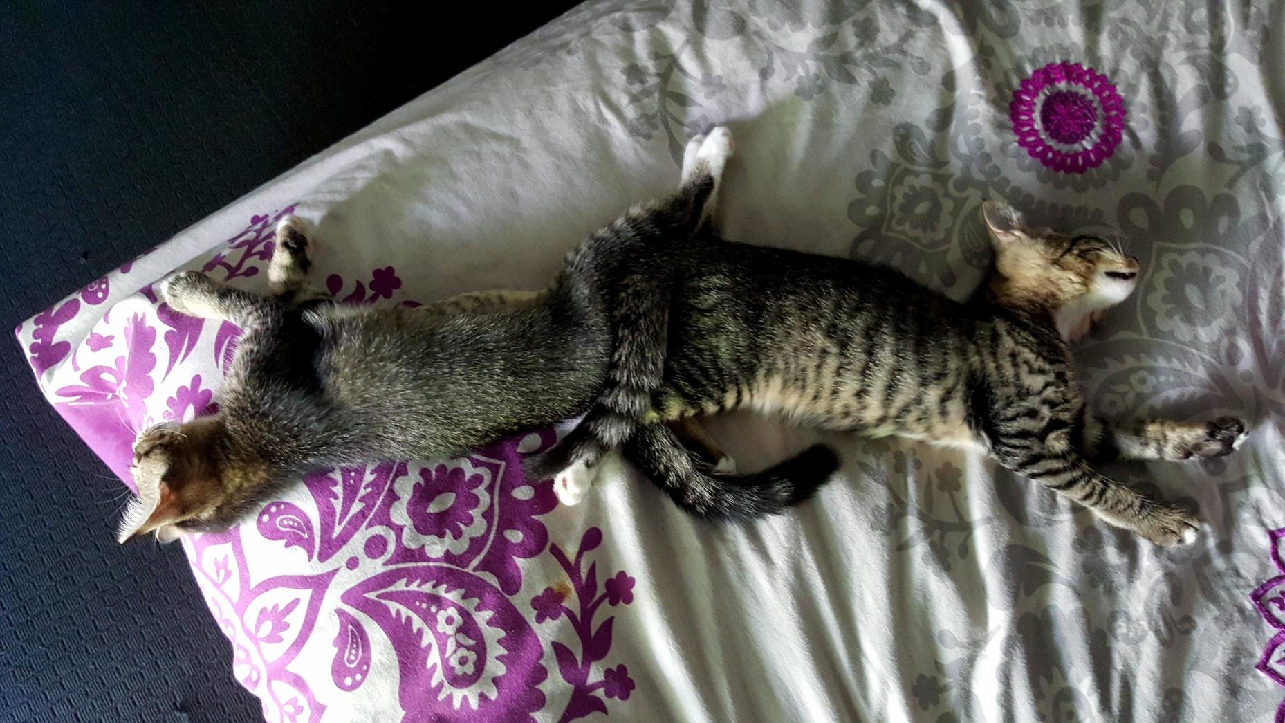Always Gotta Be Touching.