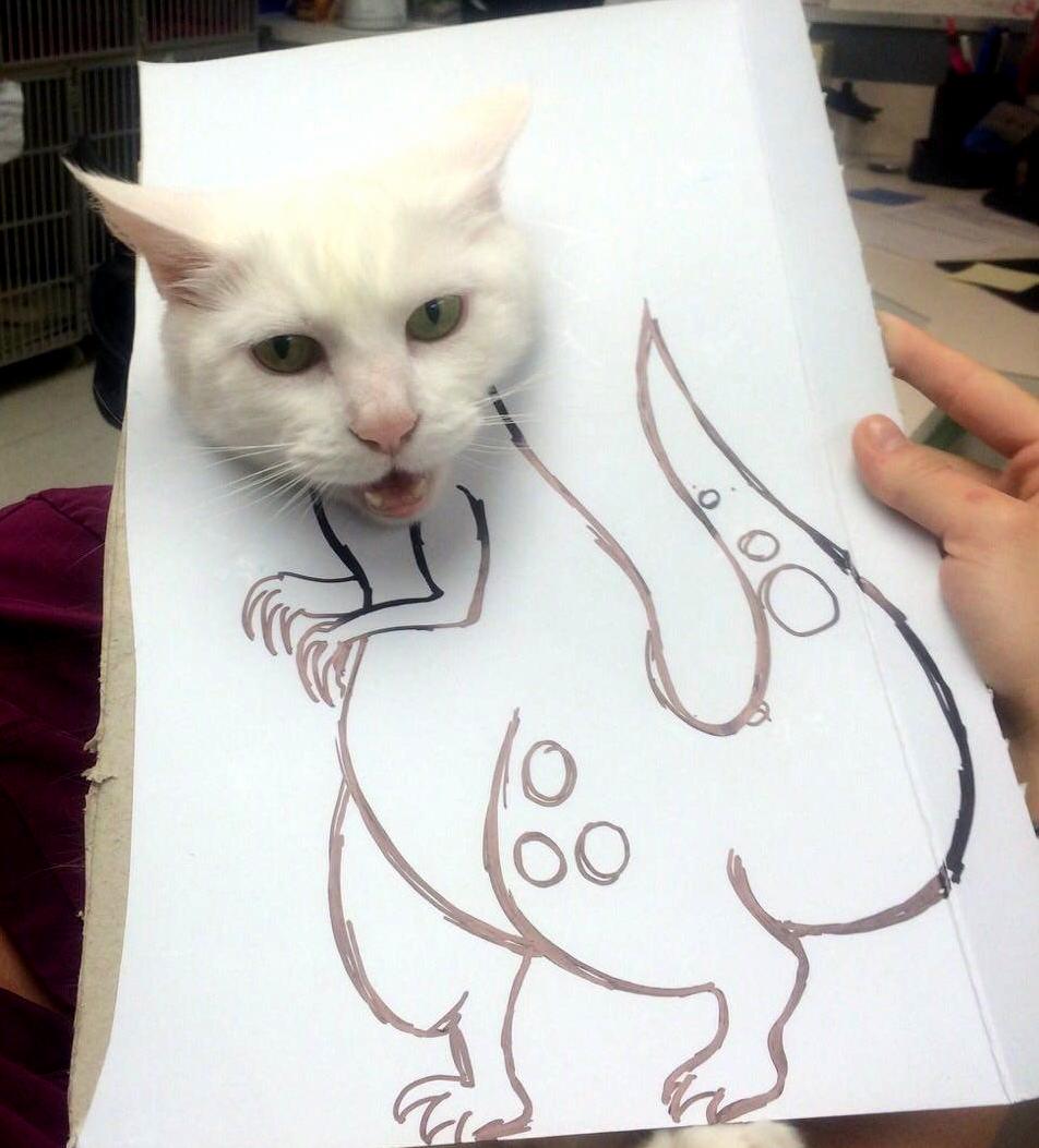 Another Slow Day at the Animal Hospital I Work at