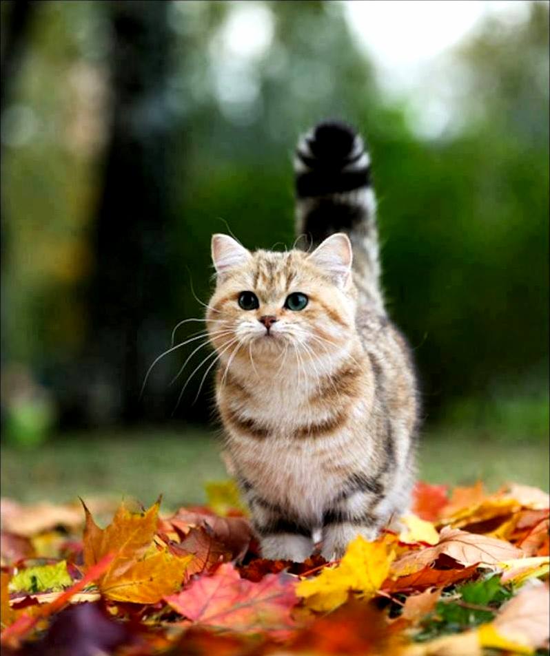 Aww Cute..