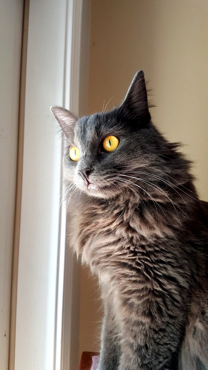 Birdwatching