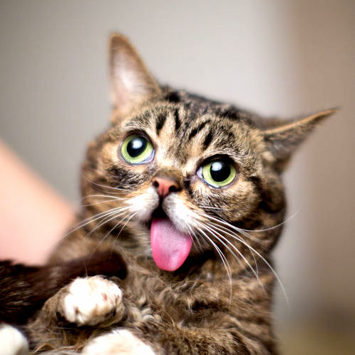 Caught Mid Derp