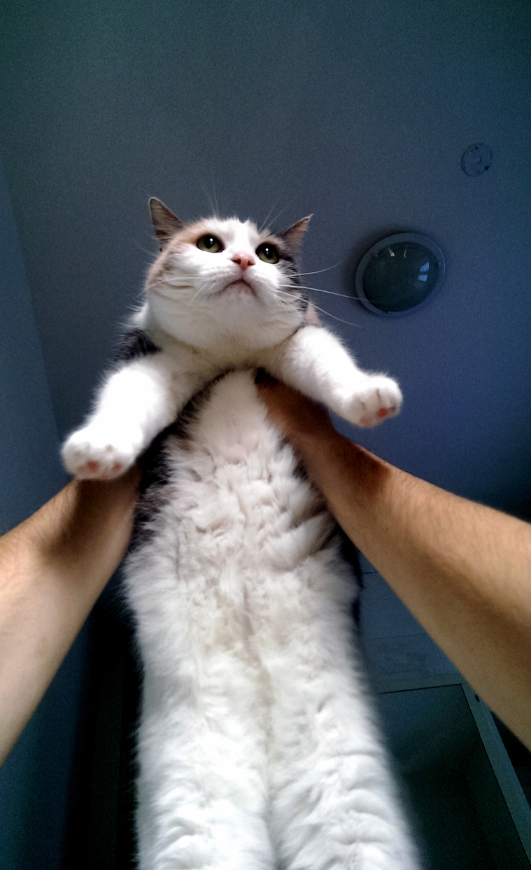 Ceiling Gazing