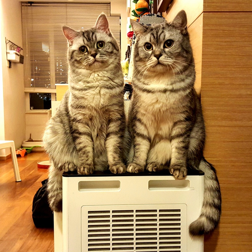 Come Play with Us...