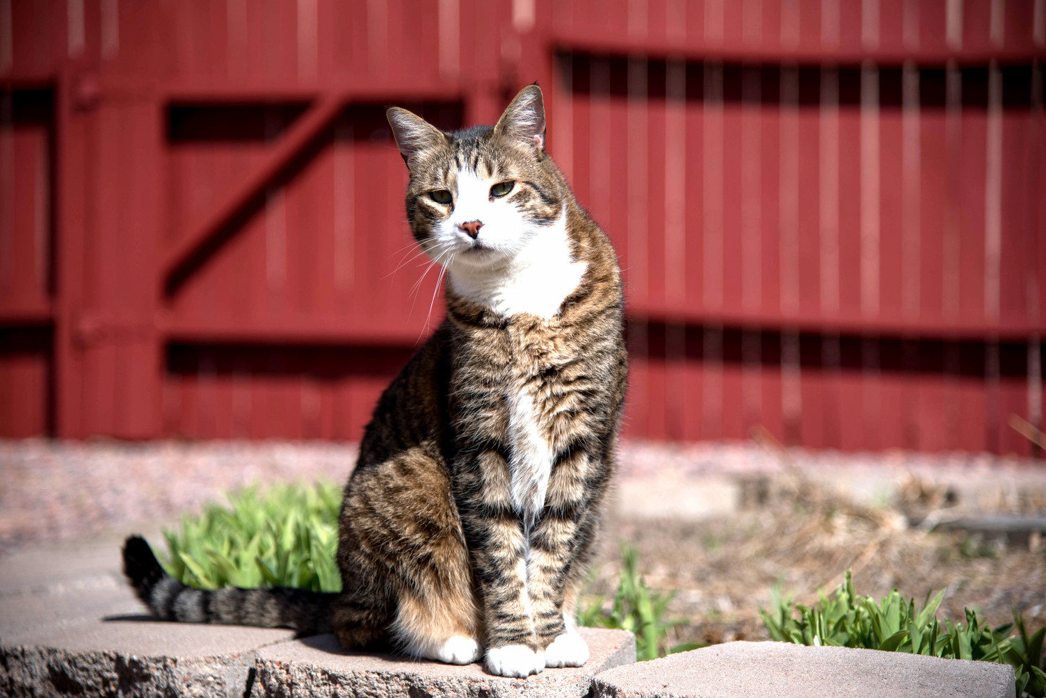 Enjoying Some Outside Time on a Warm Winter Day