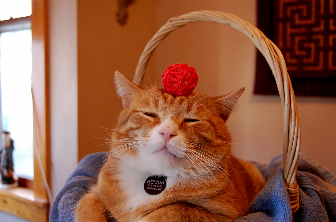 Feel the Power...become One with the Ball