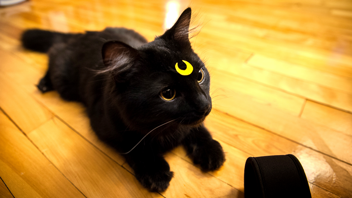 Glitch Cosplaying As Luna