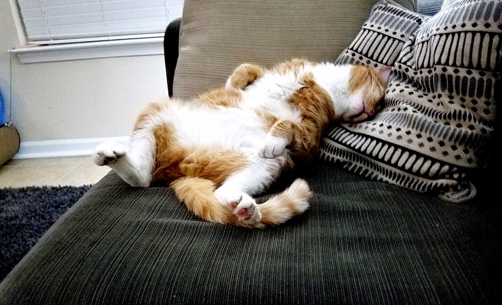Had a Rough Night