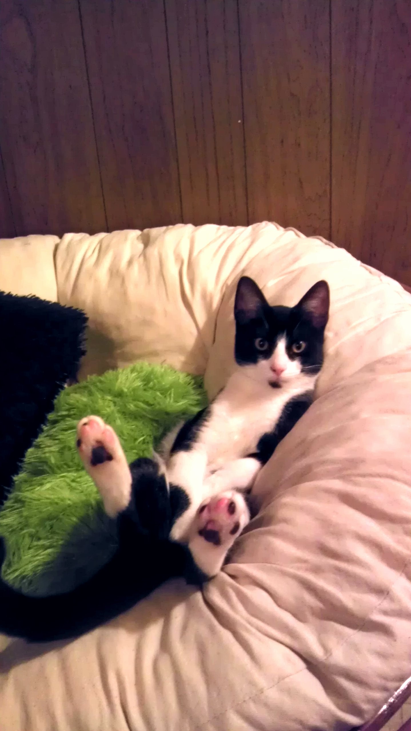 He Sits Like Hes People