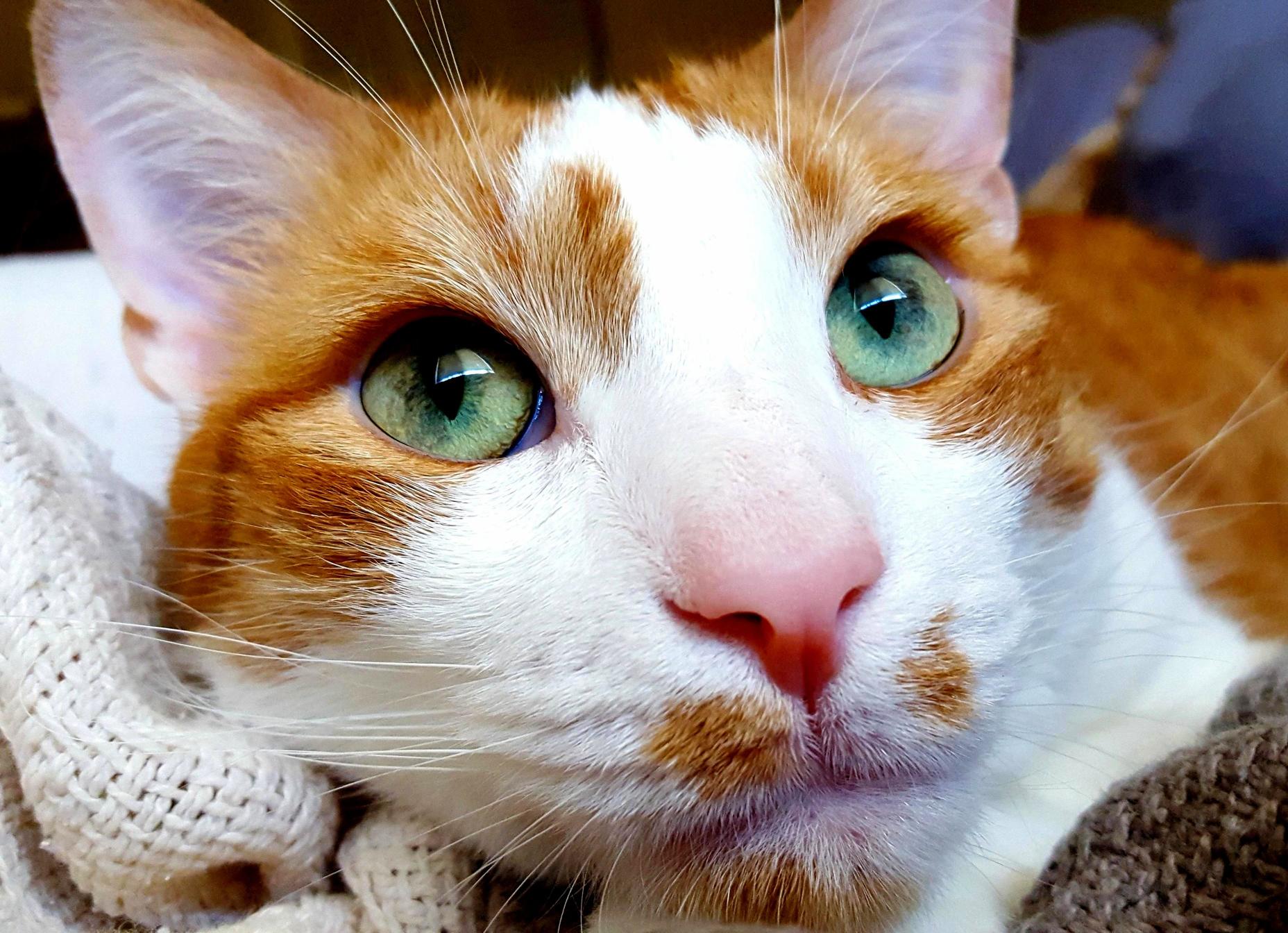 Hes So Handsome. X-post from Raww