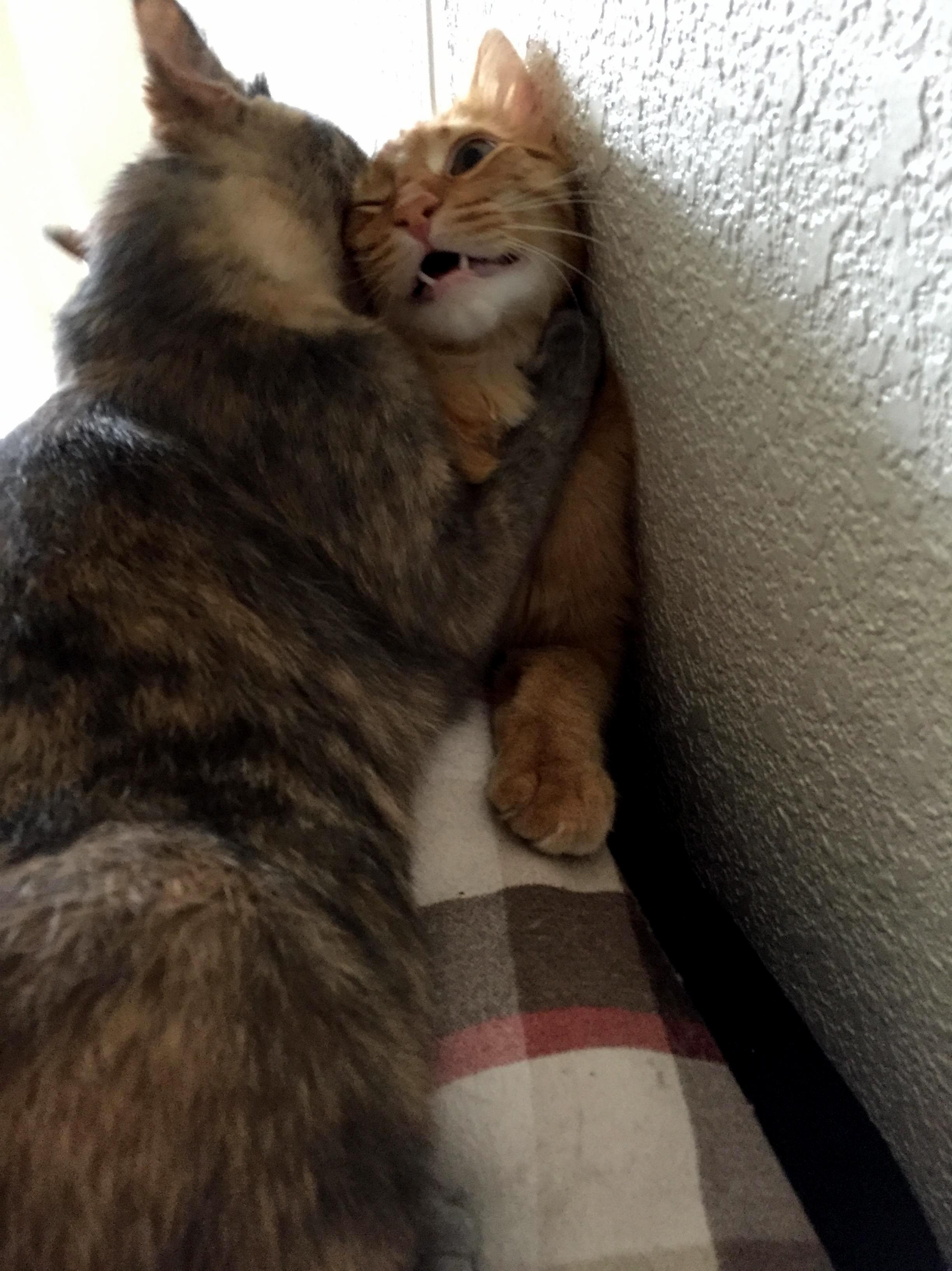 I Can Rest Easy Now That Mom and Son Get Along...