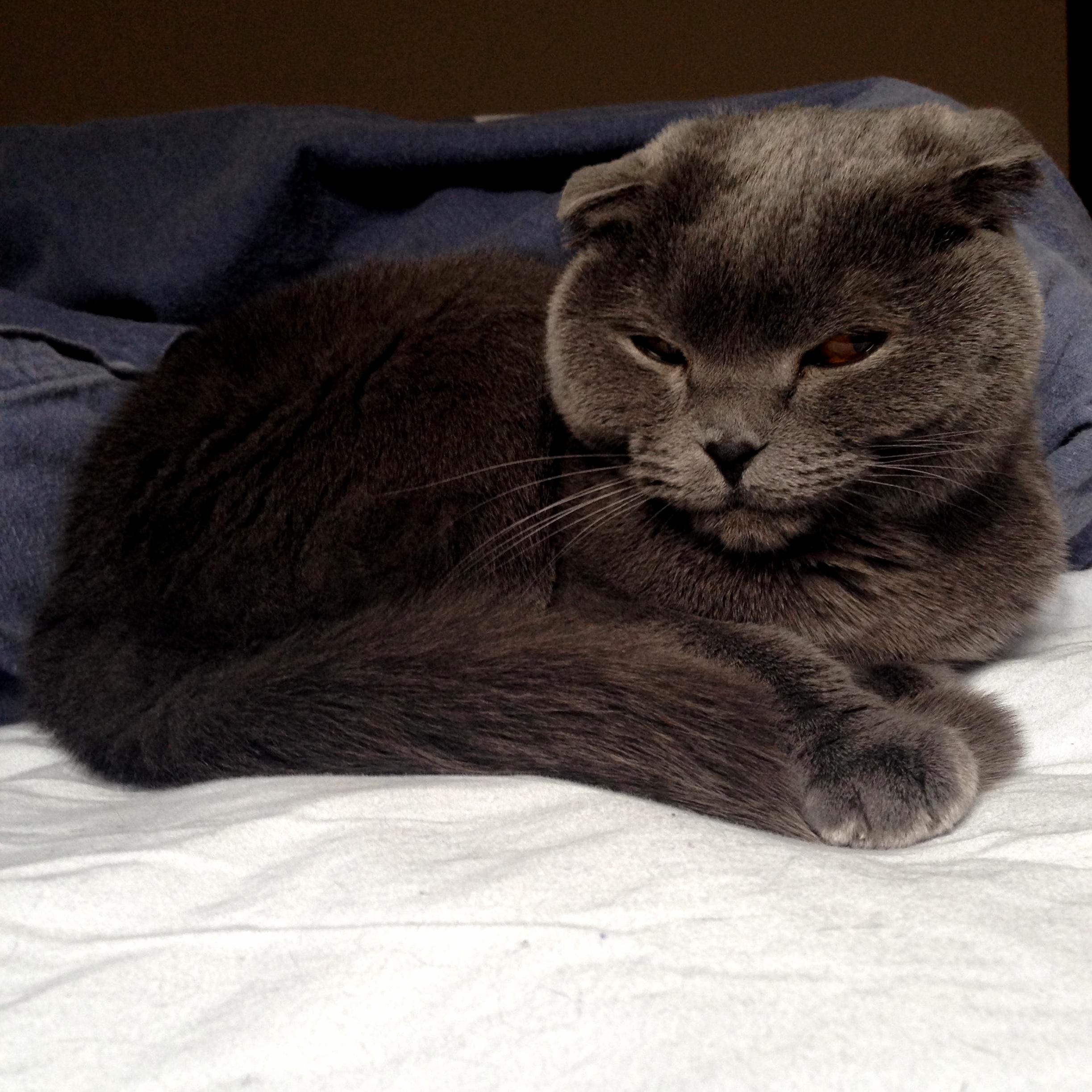 I Think Shes Plotting to Kill Me