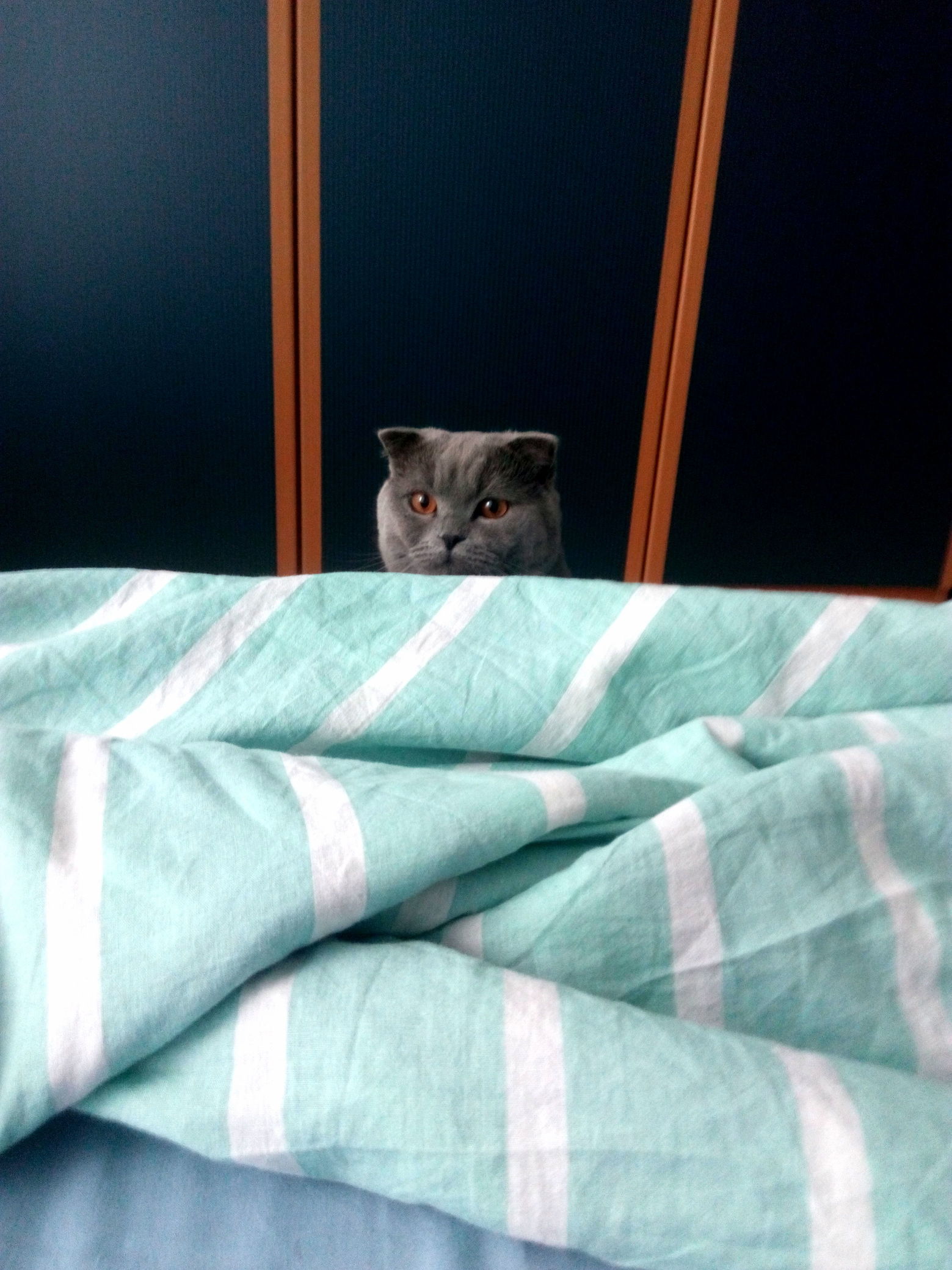 Is It Safe to Come Out