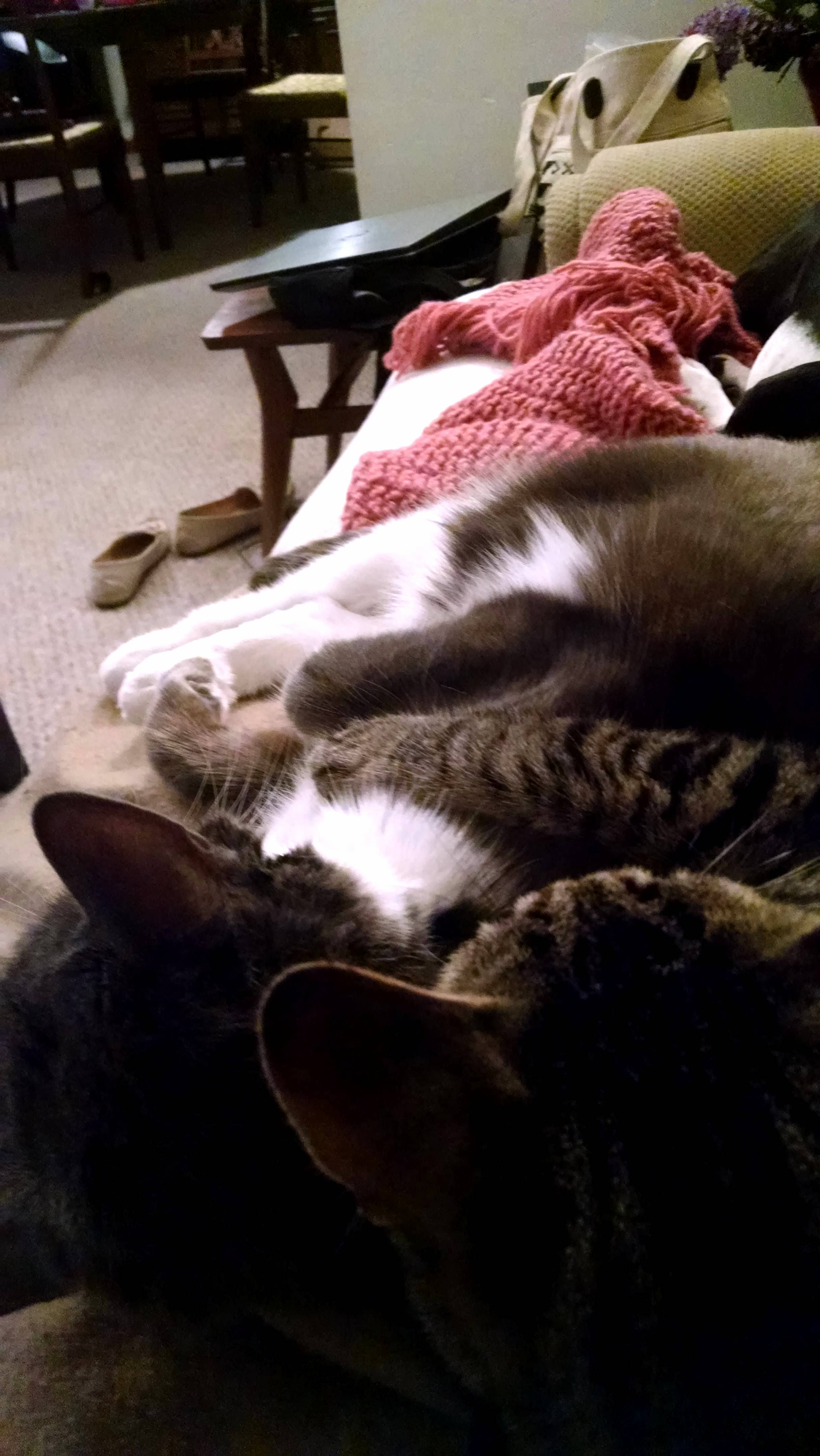 It Took Them a Year but Theyre Finally Best Friends