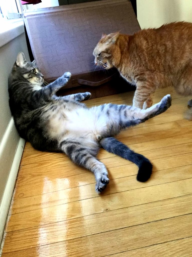 Its Cool Bro It Cool.