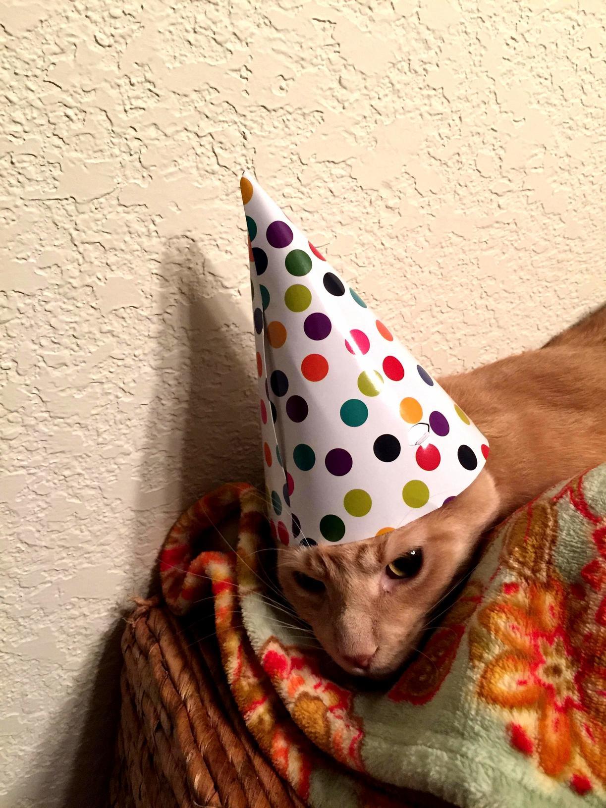 Its His Party and He Ll Cry If He Wants to