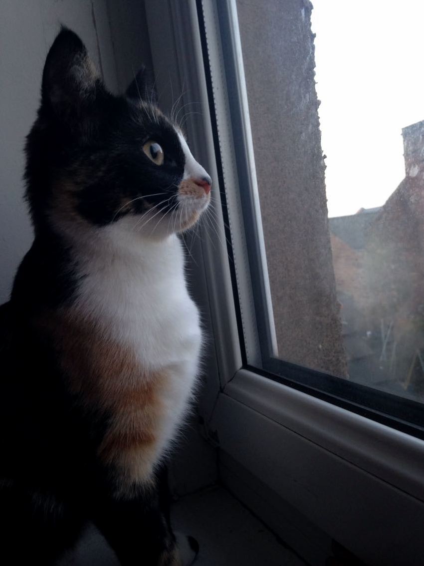 Little Daenerys Seeing Snow for the First Time