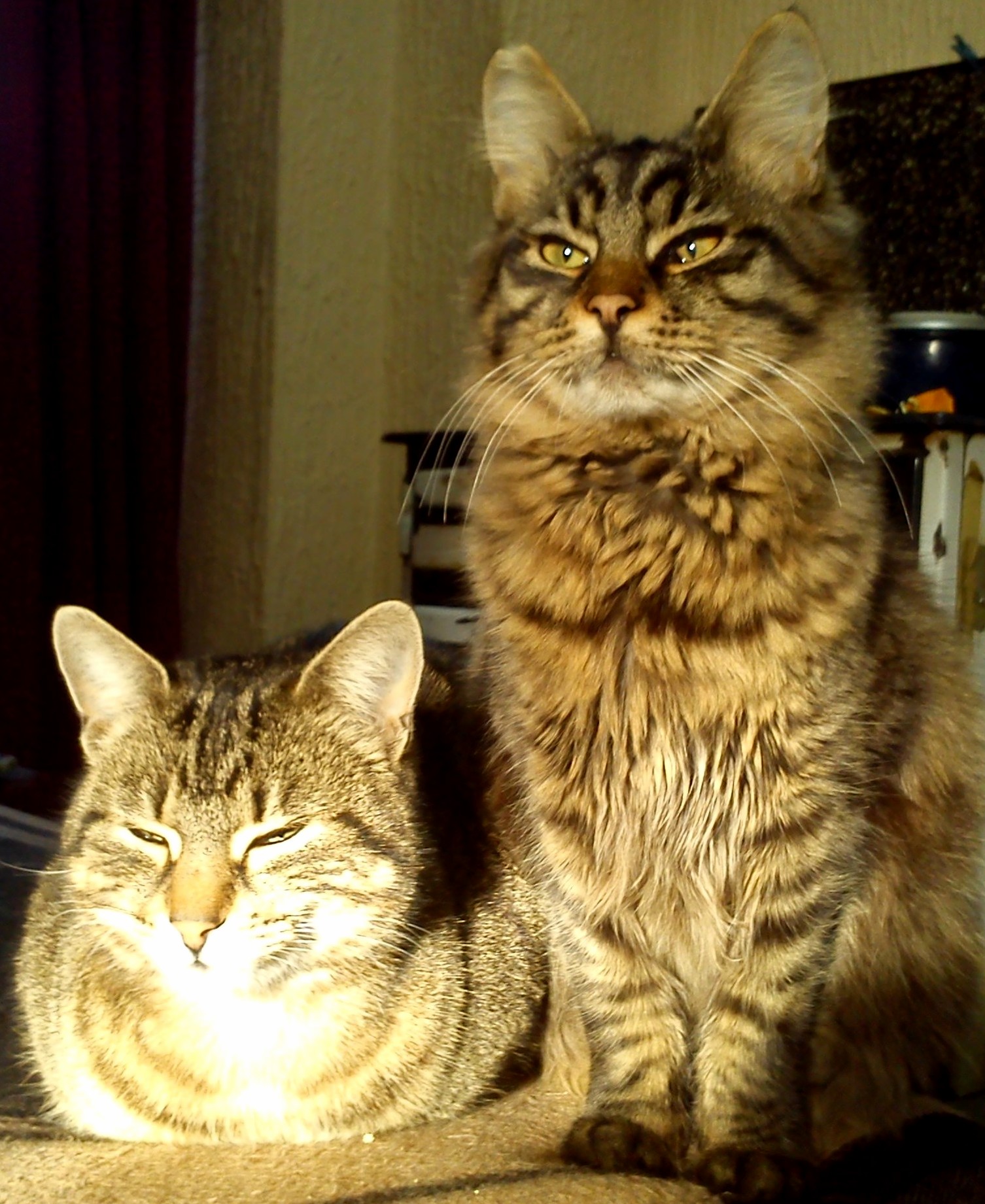 Marko and His Lady