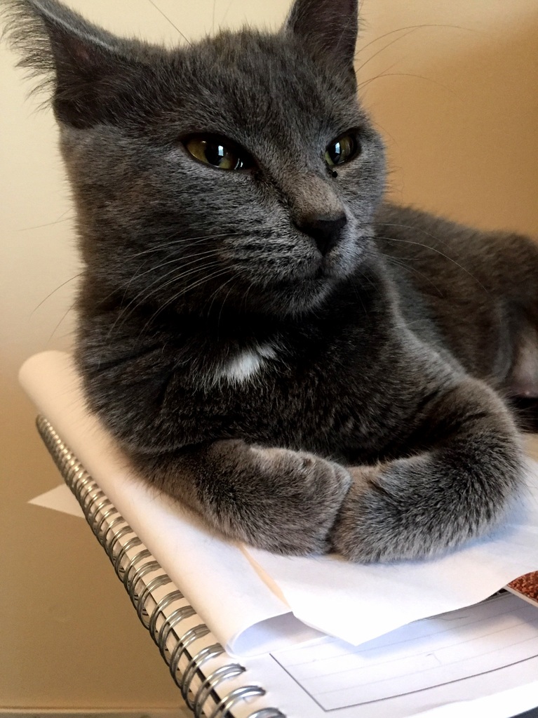 Mercury Posing