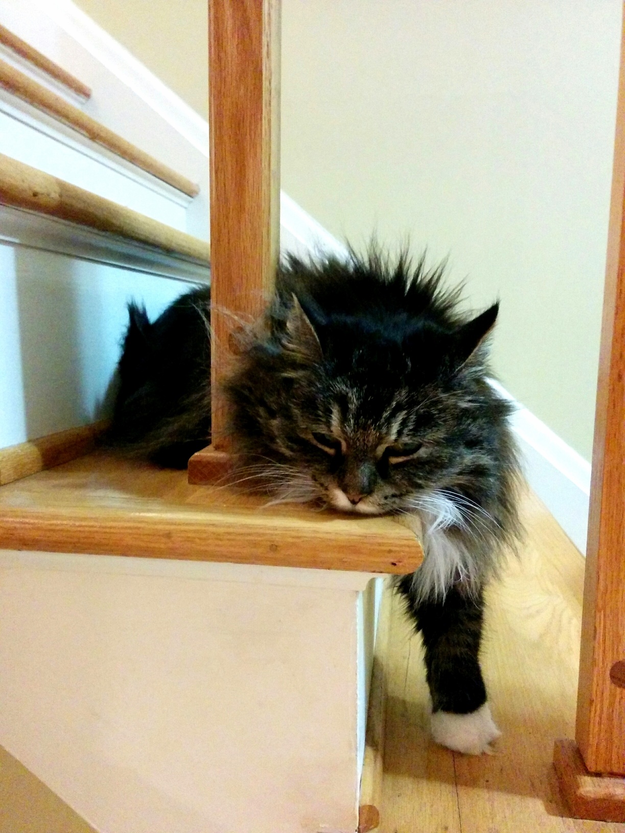 Mondays