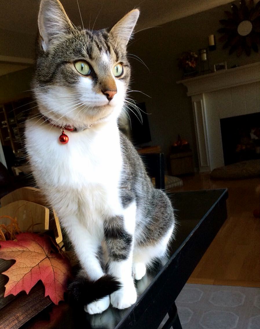 My Gorgeous Boy Thomas