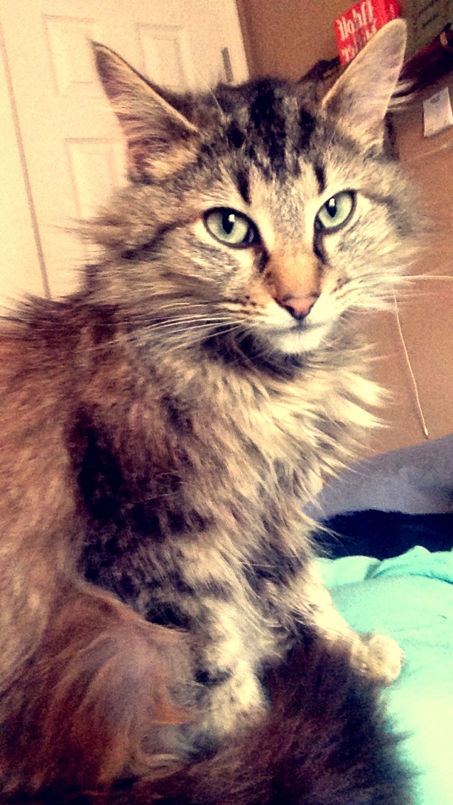 My Handsome Otto.