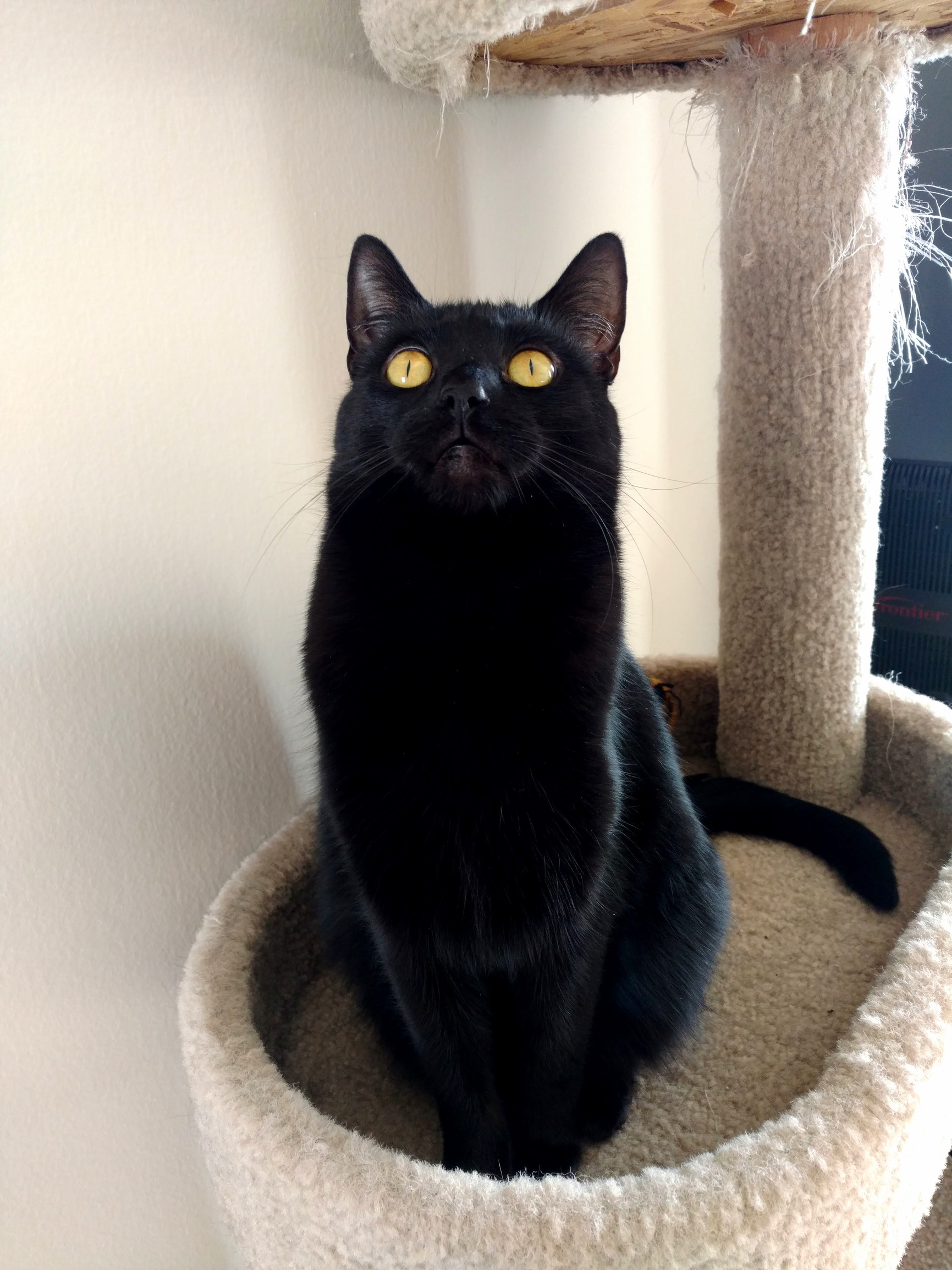 Nomi Being Beautiful Yet Derpy at the Same Time