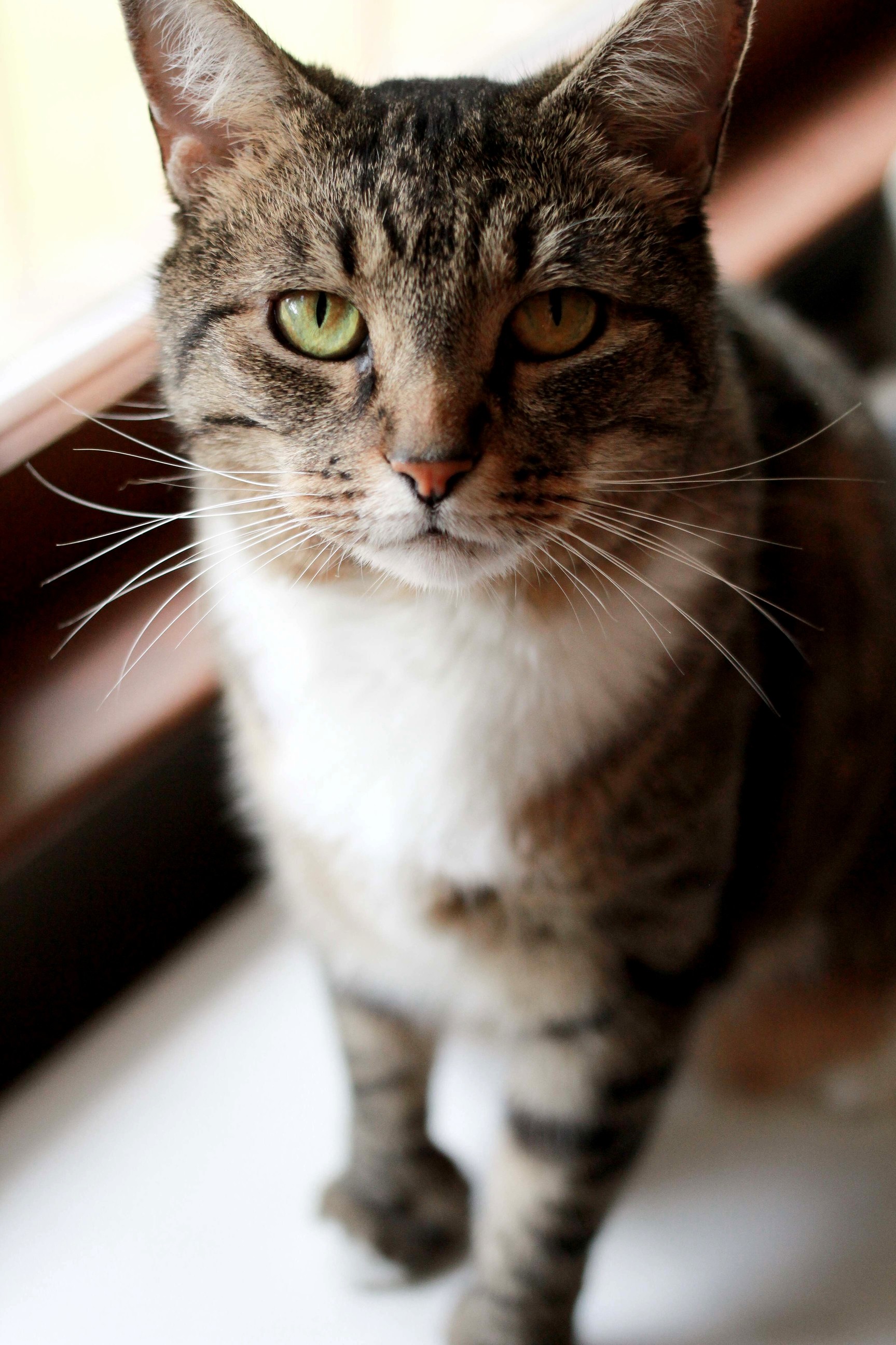 Polly My 10 Year Old Baby