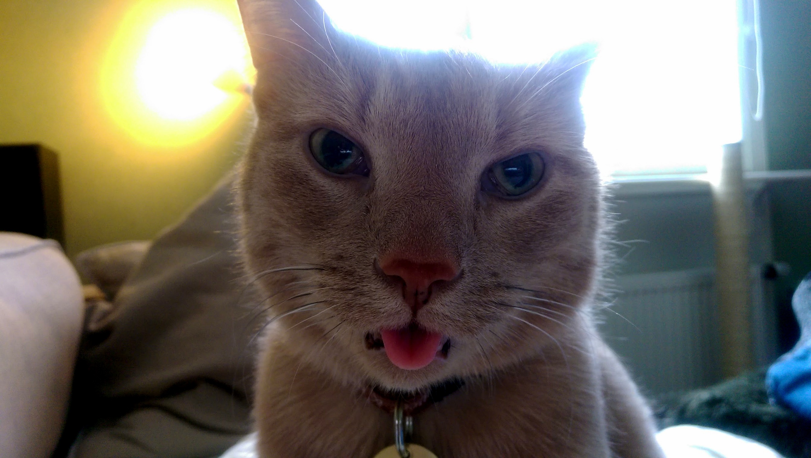 Post-anesthesia Blep