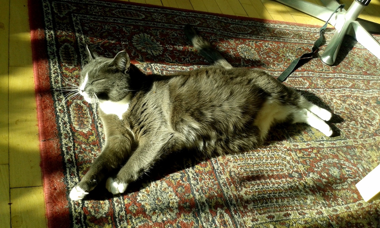 Springtime Sunbathing.