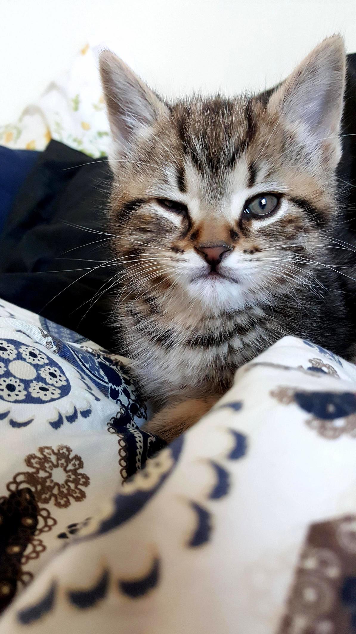 That Little Wink